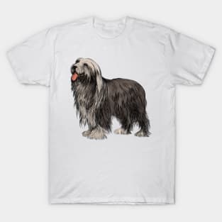 Cute Bearded Collie T-Shirt